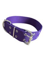 CONJUNTO COLLAR NATO + CORREA 40MM - VIOLETA