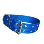 CONJUNTO COLLAR NATO + CORREA 40MM - AZUL