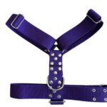 CONJUNTO PRETAL NATO + CORREA 40 MM - VIOLETA