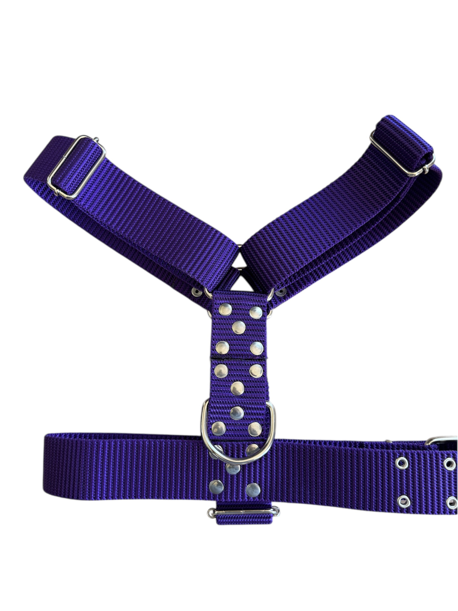 Photoroom_20251216_081951 CONJUNTO PRETAL NATO + CORREA 40 MM - VIOLETA - Imagen 1