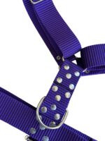 CONJUNTO PRETAL NATO + CORREA 40 MM - VIOLETA - Imagen 2