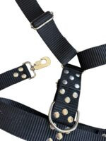 CONJUNTO PRETAL NATO + CORREA 40 MM - NEGRO - Imagen 2