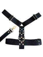 CONJUNTO PRETAL NATO + CORREA 40 MM - NEGRO