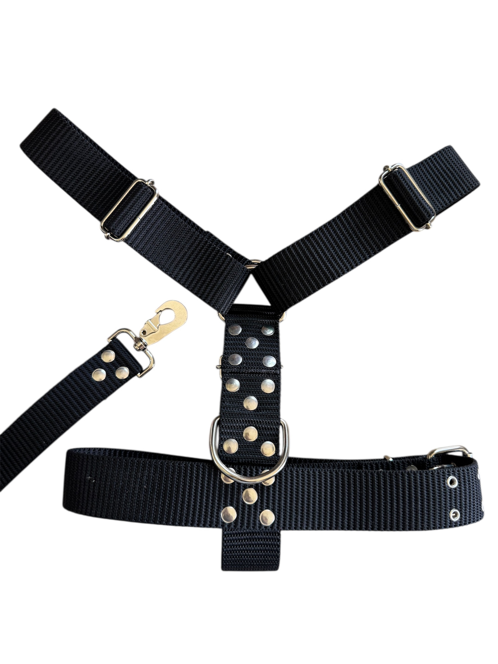 Photoroom_20251216_082034 CONJUNTO PRETAL NATO + CORREA 50 MM - NEGRO - Imagen 1