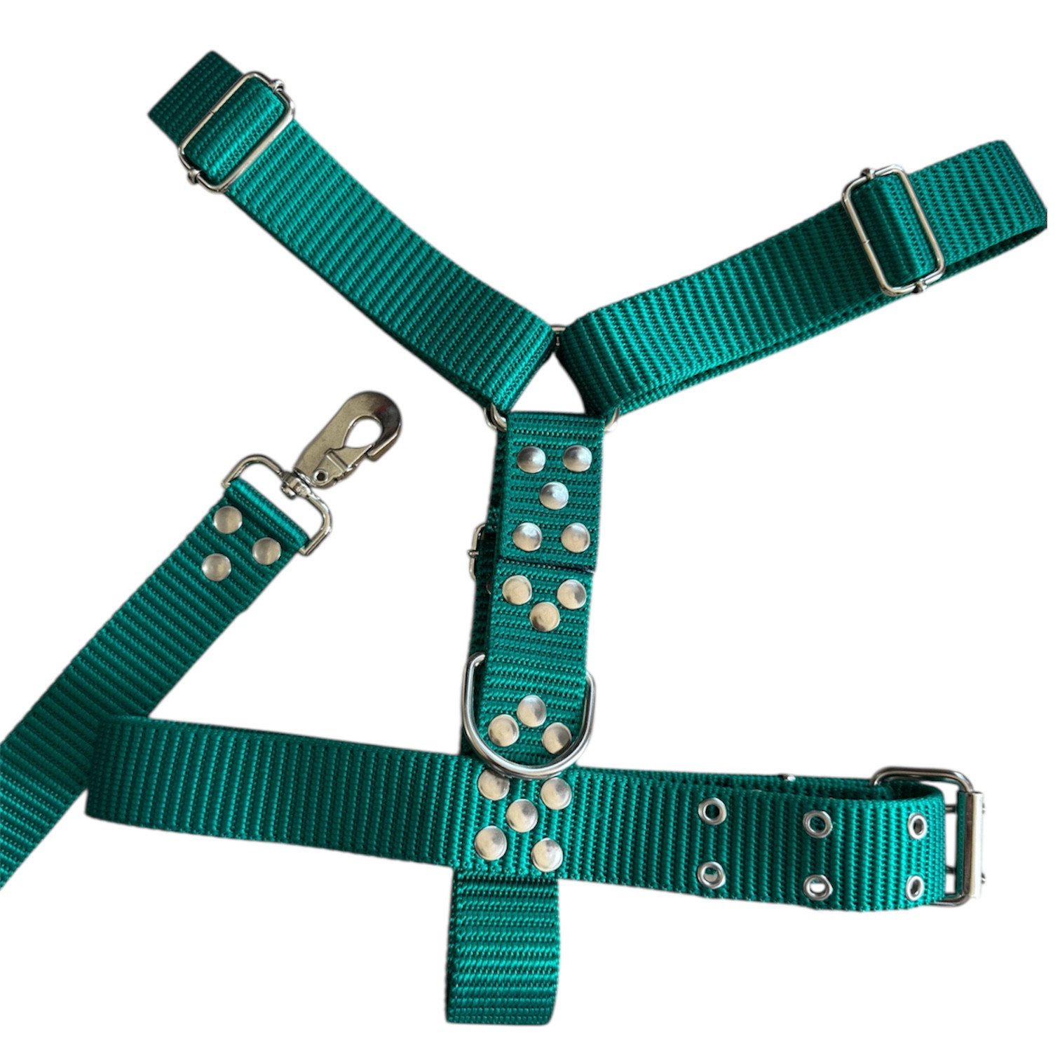 Photoroom_20251216_082125 (1) CONJUNTO PRETAL NATO + CORREA 40MM - VERDE - Imagen 1