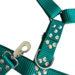 CONJUNTO PRETAL NATO + CORREA 40MM - VERDE - Imagen 2