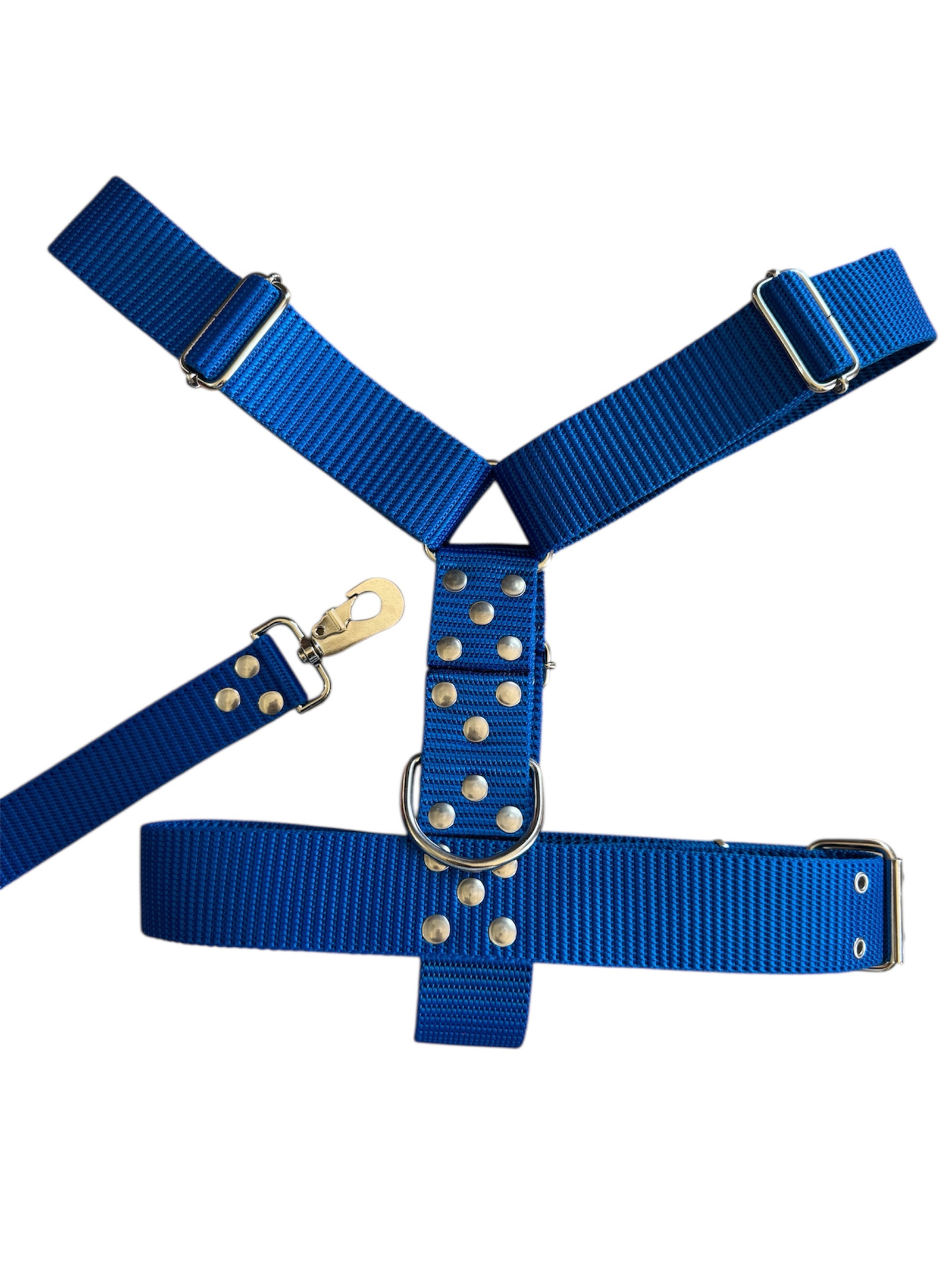 Photoroom_20251216_082245 CONJUNTO PRETAL NATO + CORREA 40 MM - AZUL - Imagen 1