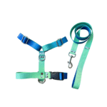 Conjunto Pretal H + Correa - Degrade Verde