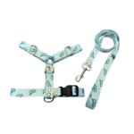 Conjunto Pretal H + Correa - Dinosaurio Celeste