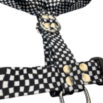 Conjunto Pretal H + Correa - Cuadrille - Imagen 3