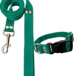 Conjunto Collar Regulable y Correa Verde