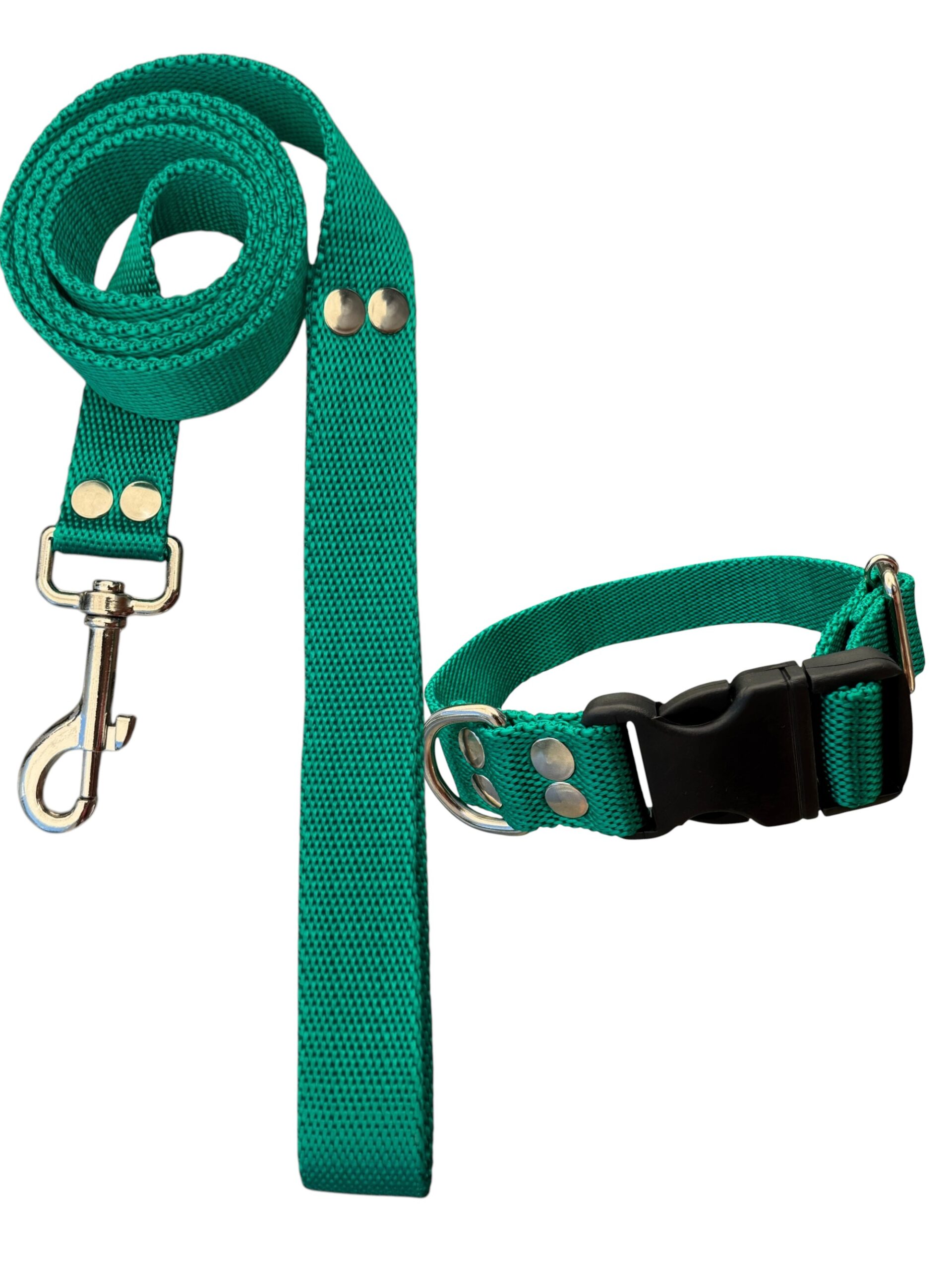 VERDE Conjunto Collar Regulable y Correa Verde - Imagen 1