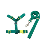 Conjunto Pretal H Liso Full Color + Correa - Verde