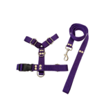 Conjunto Pretal H liso + Correa Lisa - Violeta