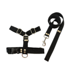 Conjunto Pretal H liso + Correa Lisa - Negro