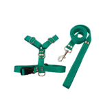 Conjunto Pretal H liso + Correa Lisa - Verde