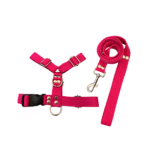 Conjunto Pretal H liso + Correa Lisa - Fucsia