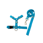 Conjunto Pretal H liso + Correa Lisa - Celeste