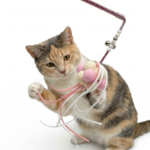 VARITA PARA GATO ROSA 40CM