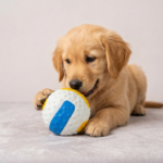 PELOTA CON CHIFLE 7,5 CM