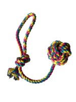 KIT SOGAS -  1 pelota, 1 pelota con soga, 2 sogas con nudos - Imagen 3