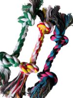 SOGA 27x1,5 CM - Imagen 2