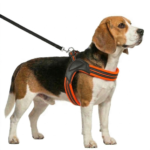 PECHERA FACIL COLOCACION M - 55CM - 60CM