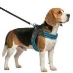 PECHERA FACIL COLOCACION S - 50CM-54CM