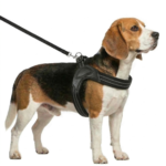 PECHERA FACIL COLOCACION XS - 41CM-45CM