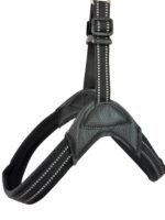 PECHERA FACIL COLOCACION XS - 41CM-45CM - Imagen 6